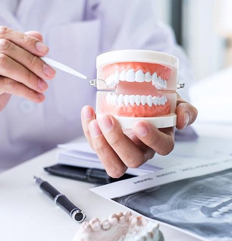 Dentist holding dental model showing teeth anatomy in clinical setting with tools nearby.